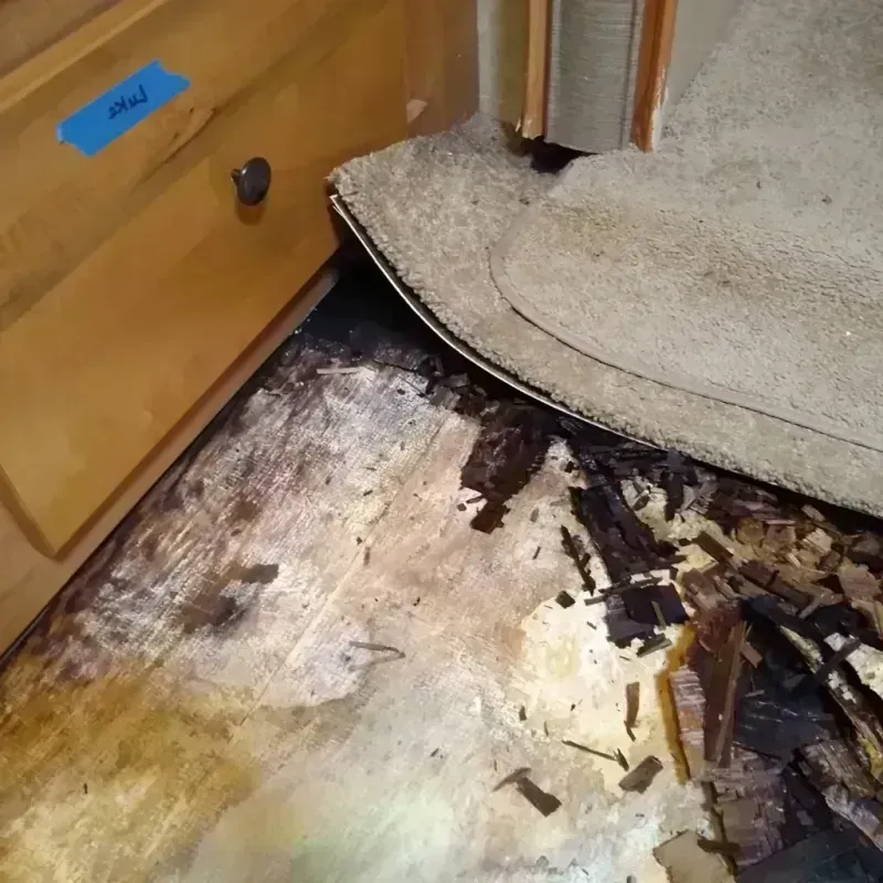 Wood Floor Water Damage in Canton, TX